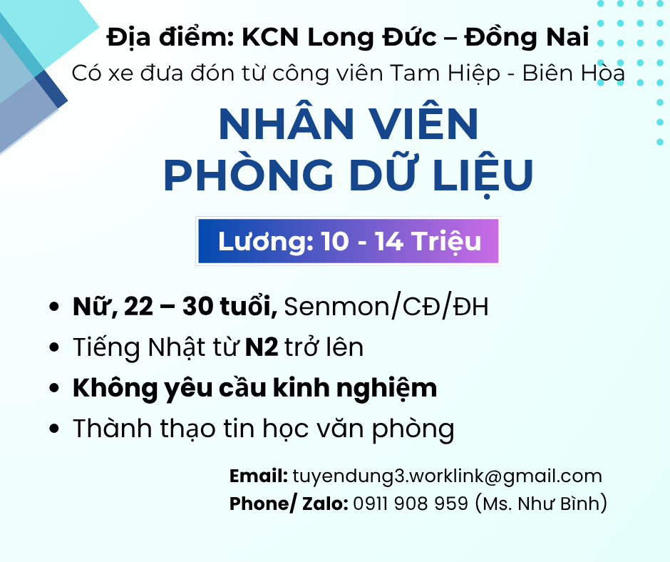 lĩnh vực hoạt động